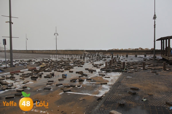 mina2 adrar jfe (1).jpg